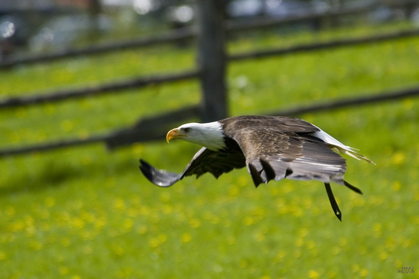 Flugstunde II