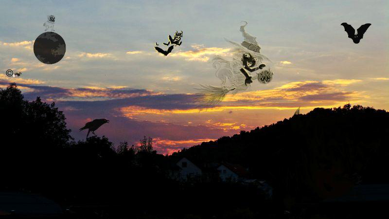 Flugstunde mit Begleitung