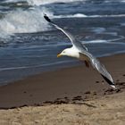 Flugstunden am Strand