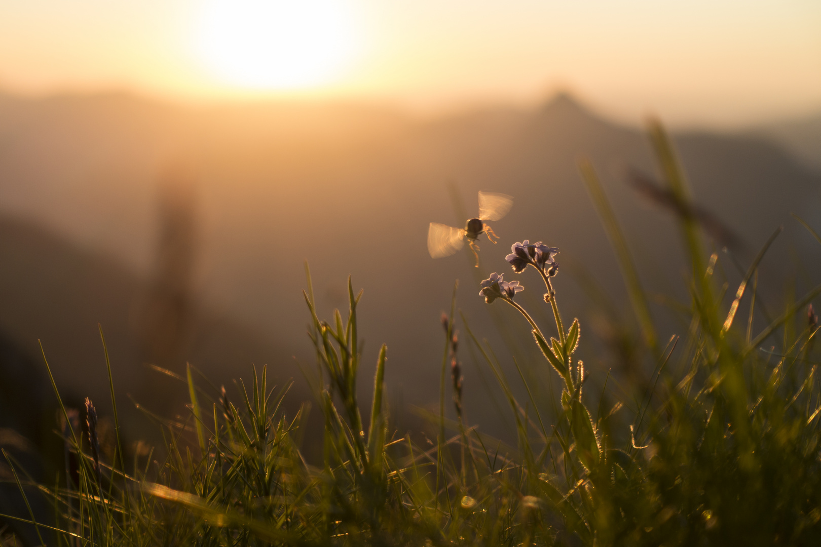 Flugstunden auf der Krinnenspitze