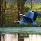 Flugszene am Abend