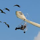 Flugtag Bex - Christian Moullec mit seinen Gänsen und Kranichen