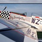 Flugtag Gelnhausen 2009