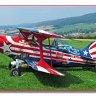 Flugtag in Uslar 2014 ; Kunstflug-Flieger Pitts.