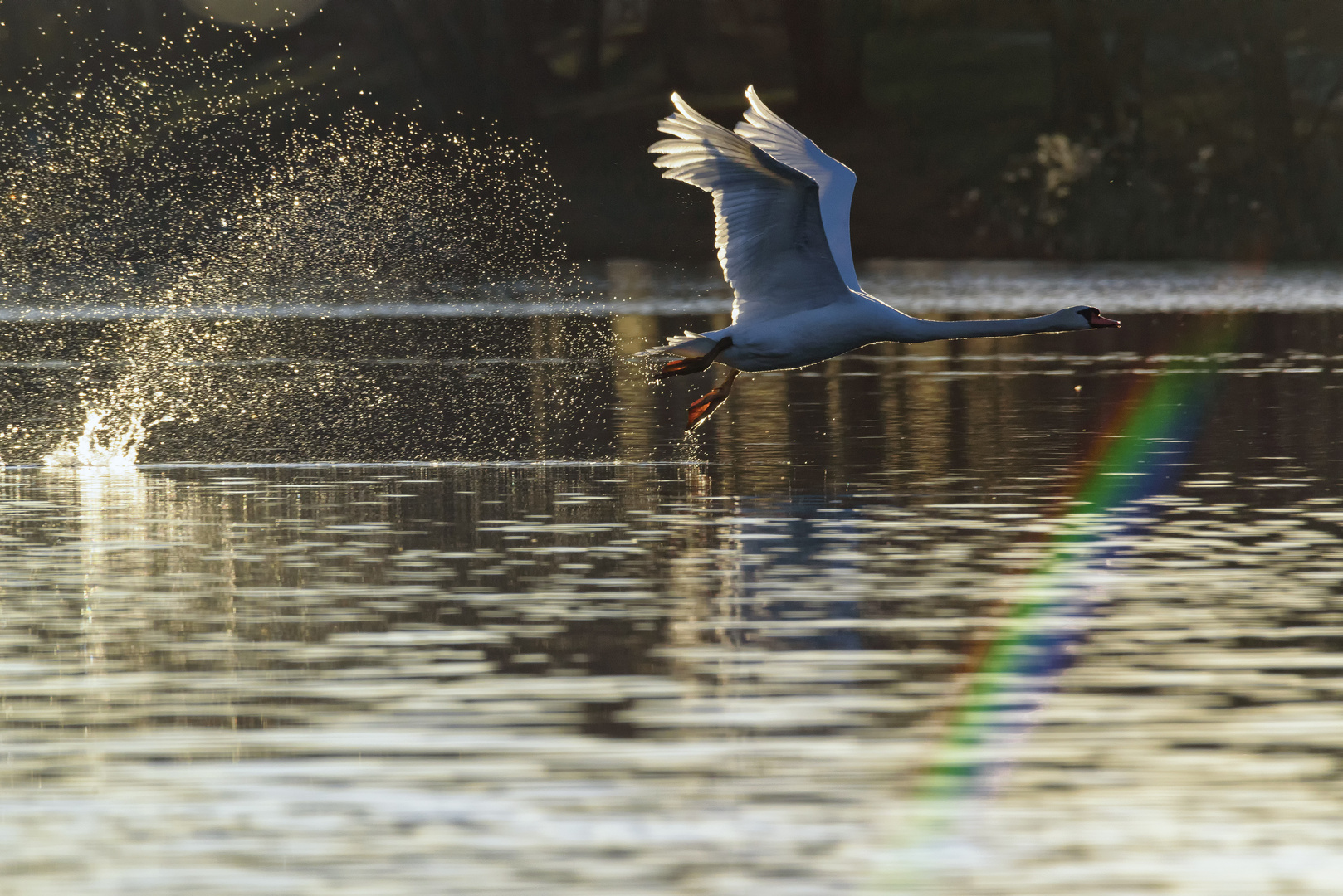 Flugübung am Fasaneriesee, München