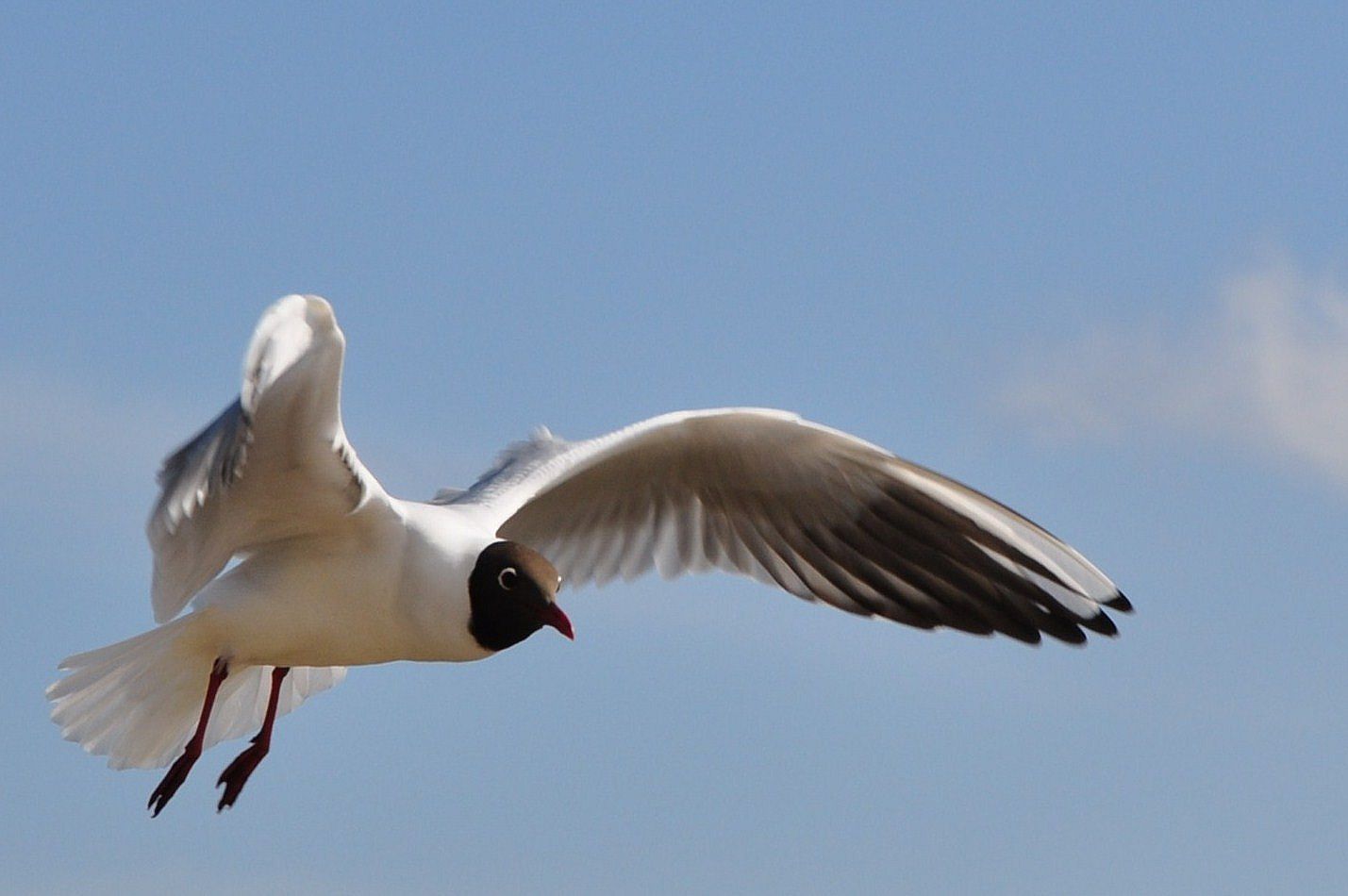 Flugübungen