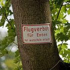 Flugverbot!