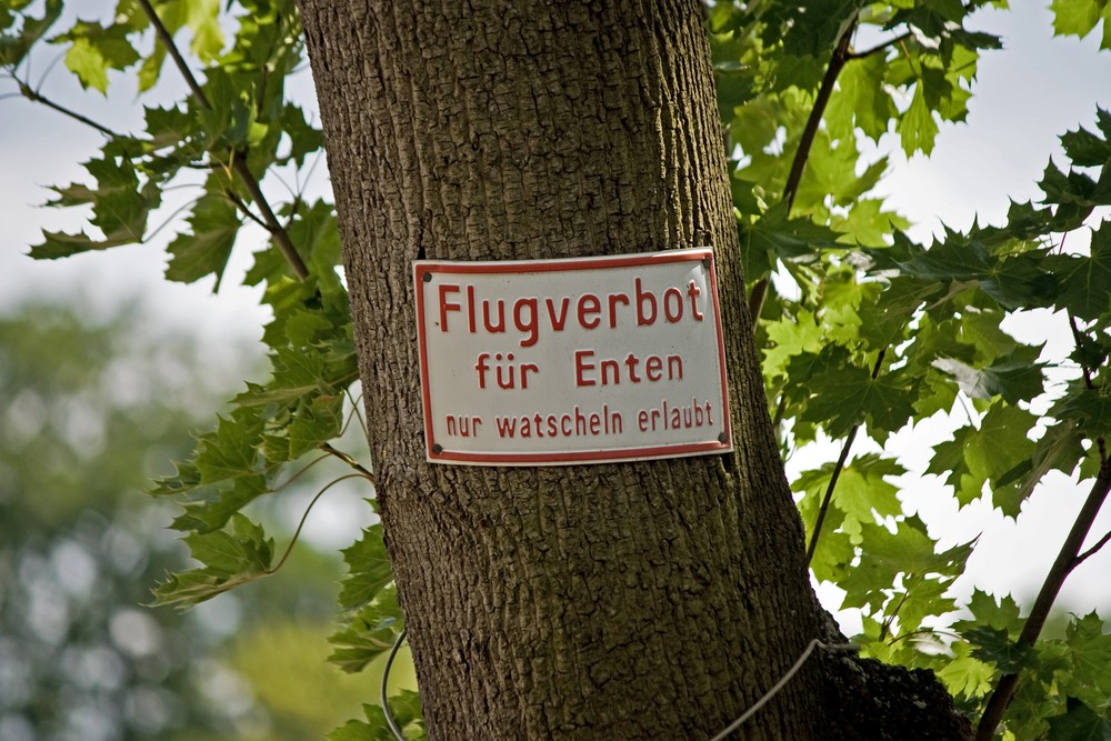 Flugverbot!