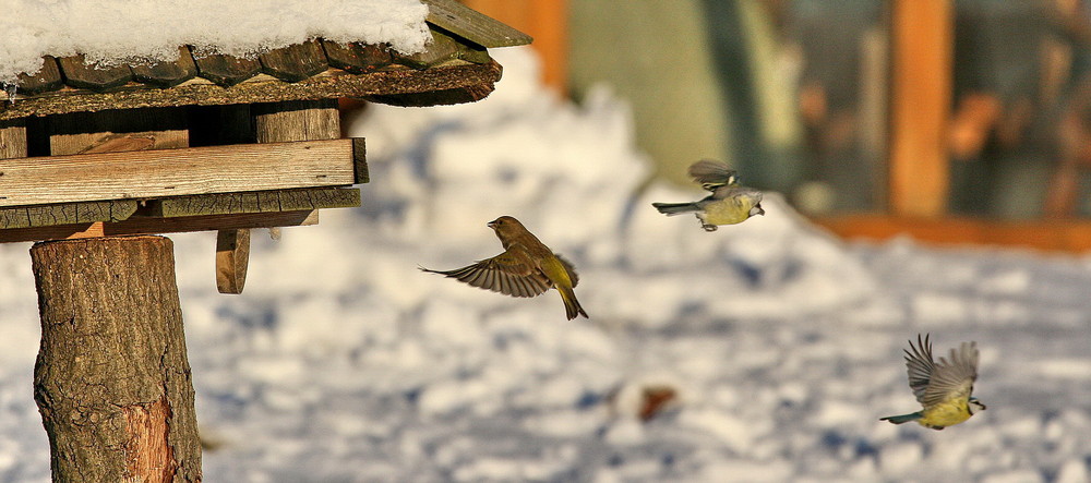 Flugverkehr