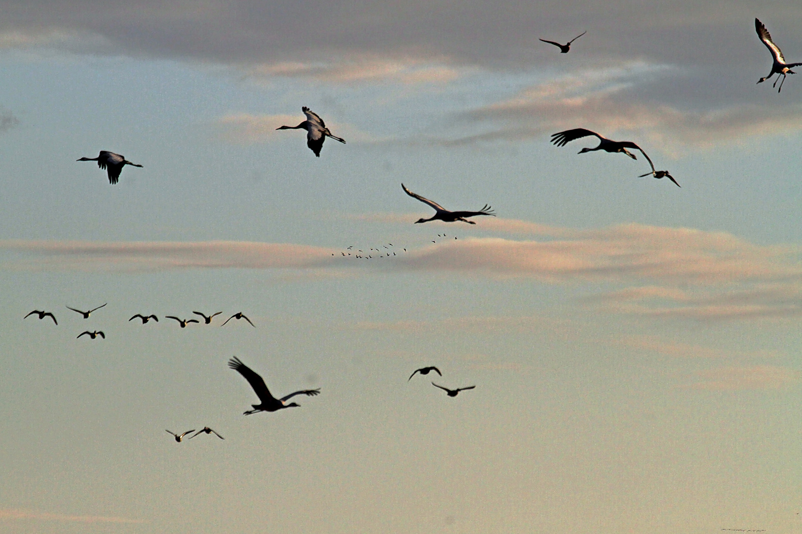 Flugverkehr