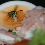 Flugverkehr