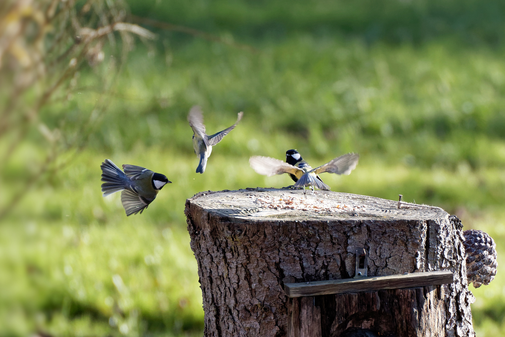 Flugverkehr