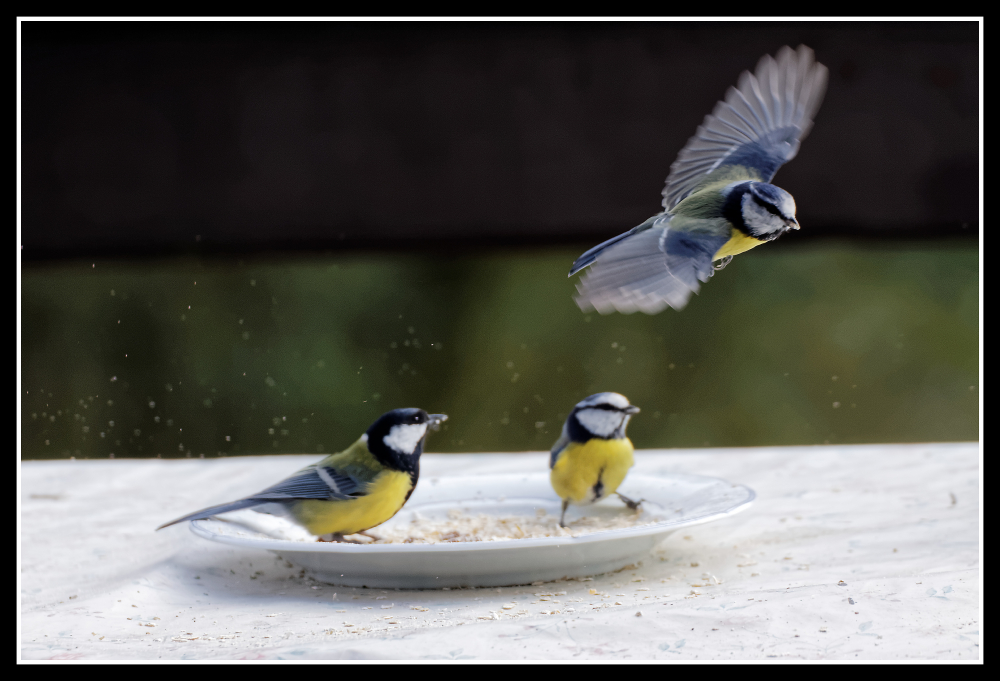 Flugverkehr