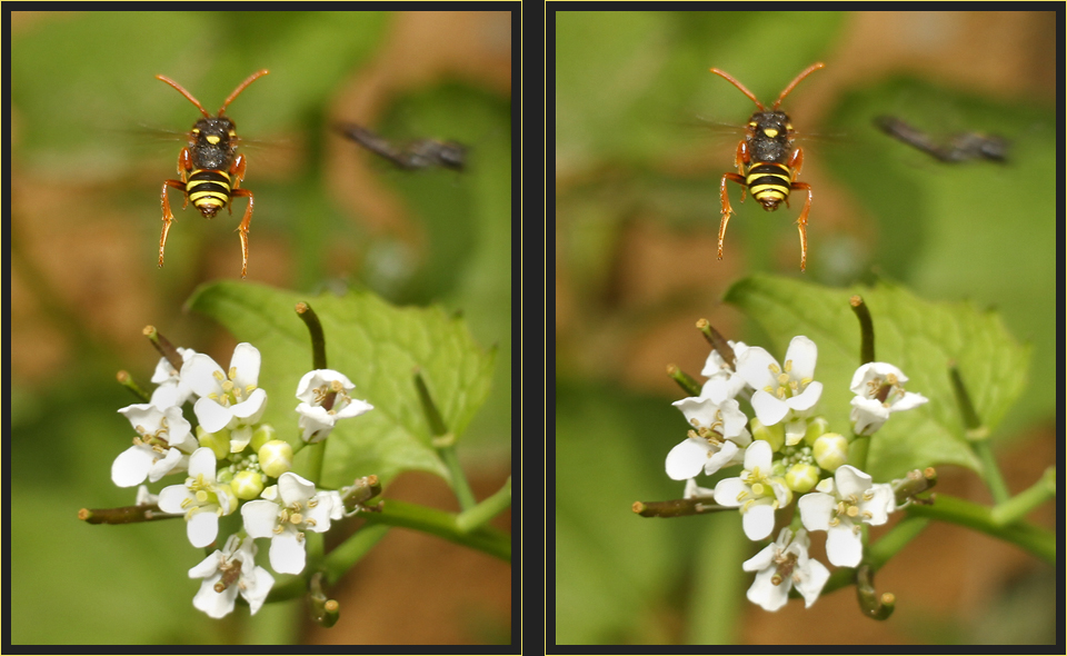 Flugverkehr [3D]