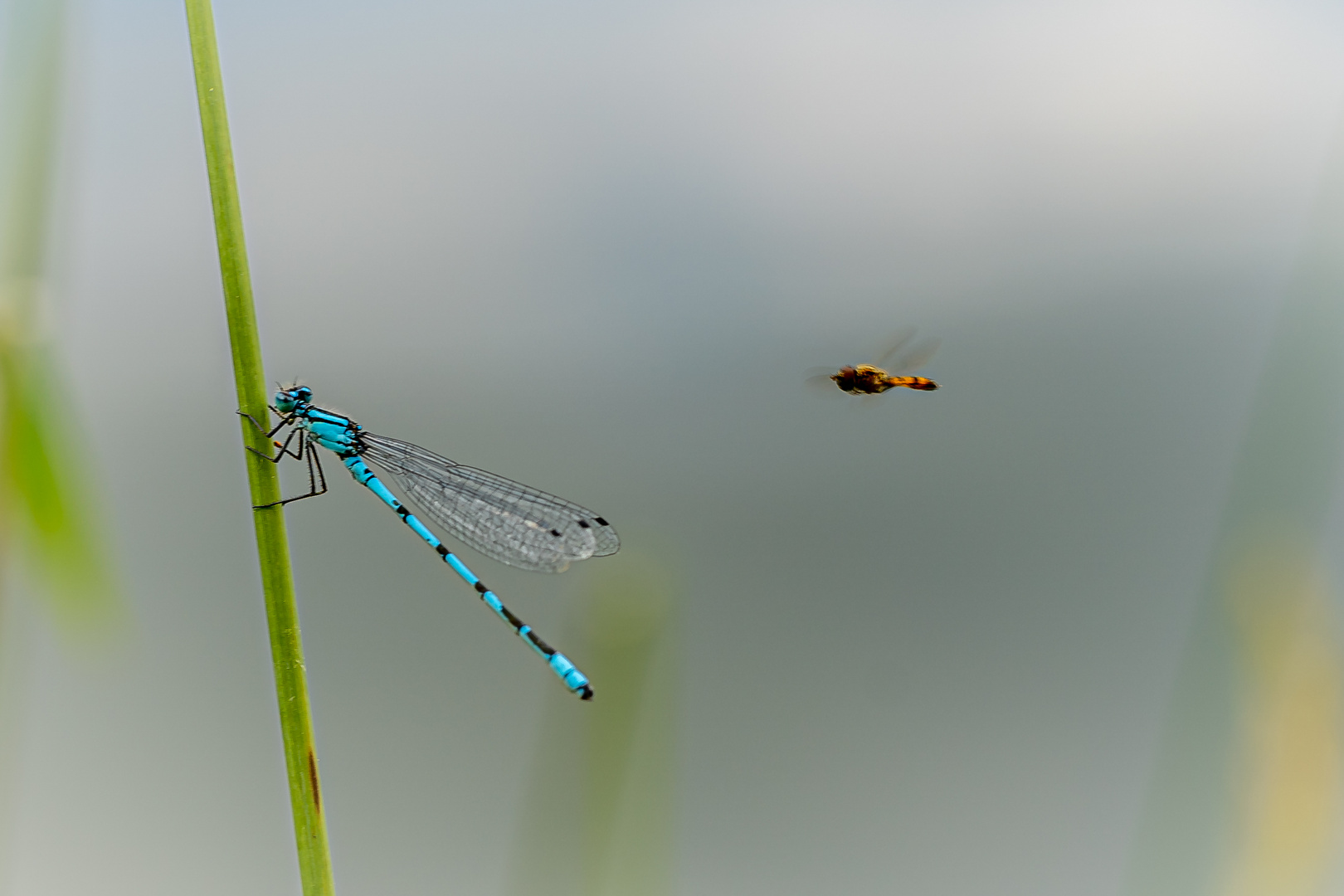 Flugverkehr