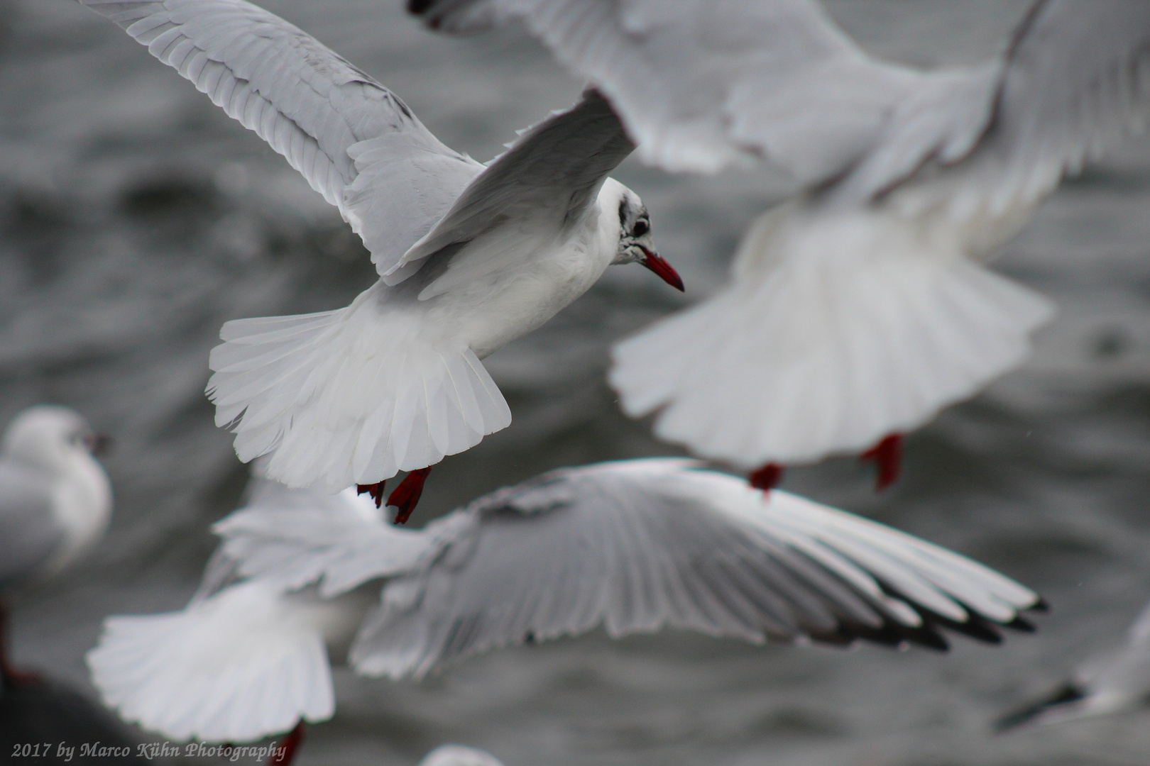 Flugverkehr