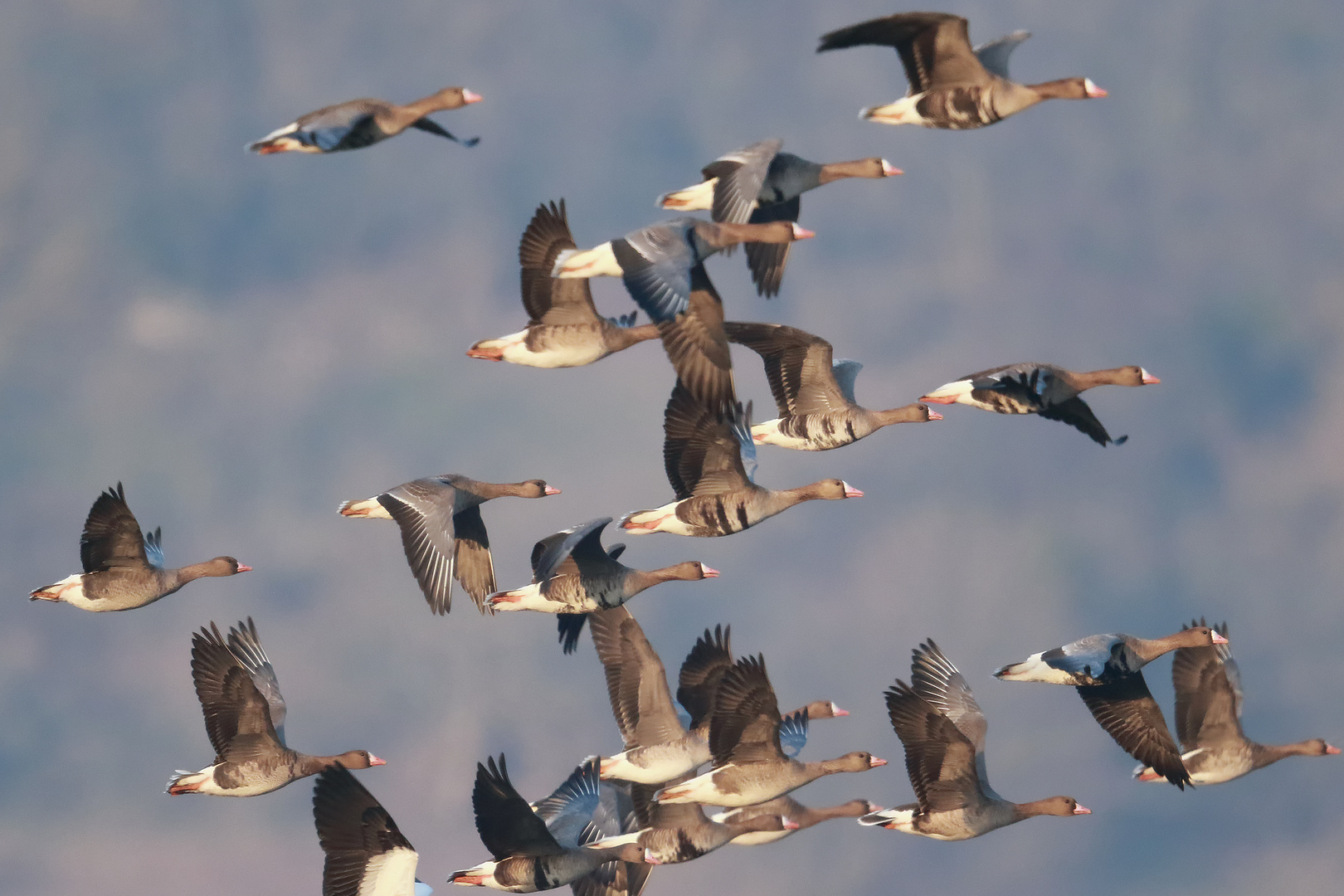 ...Flugverkehr...