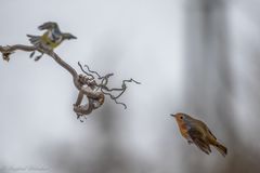 Flugverkehr ...