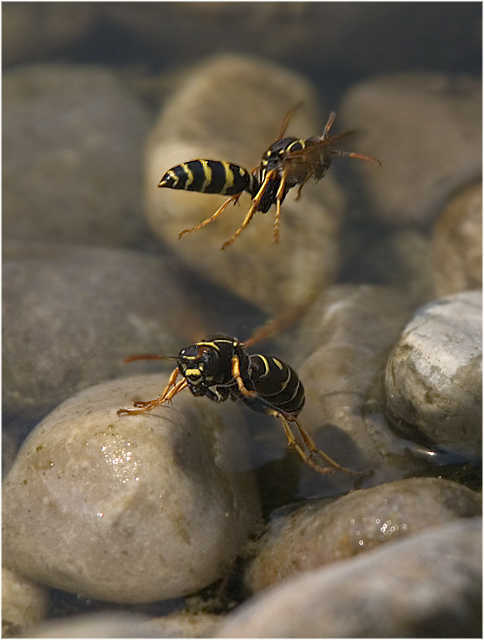 Flugverkehr