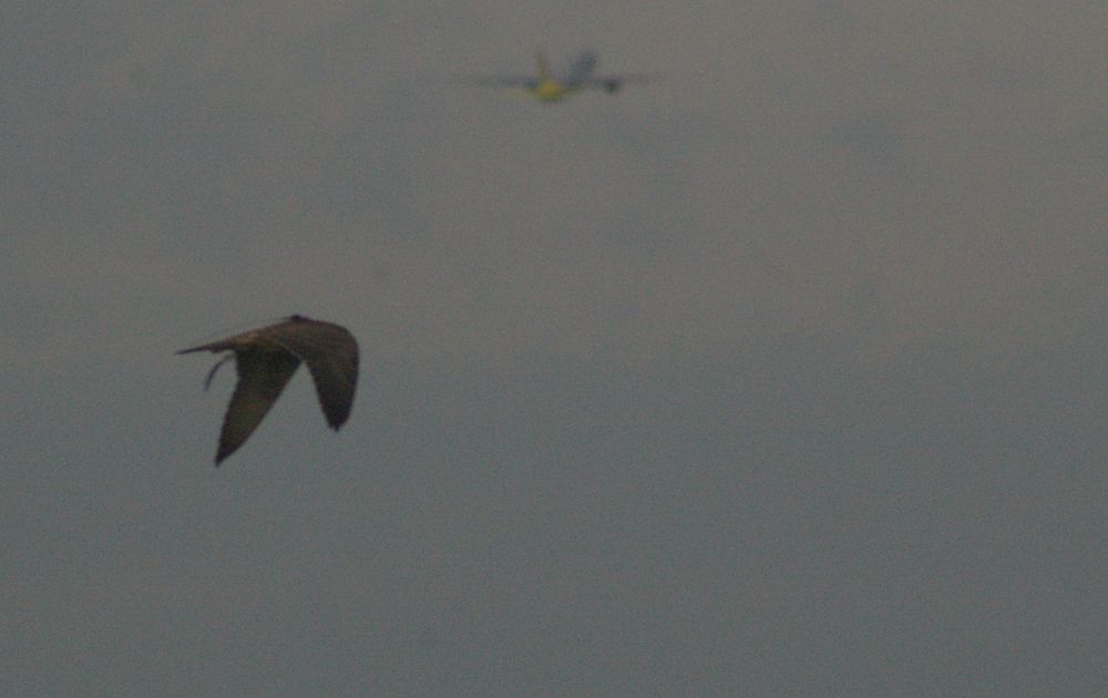 Flugverkehr in Schönefeld