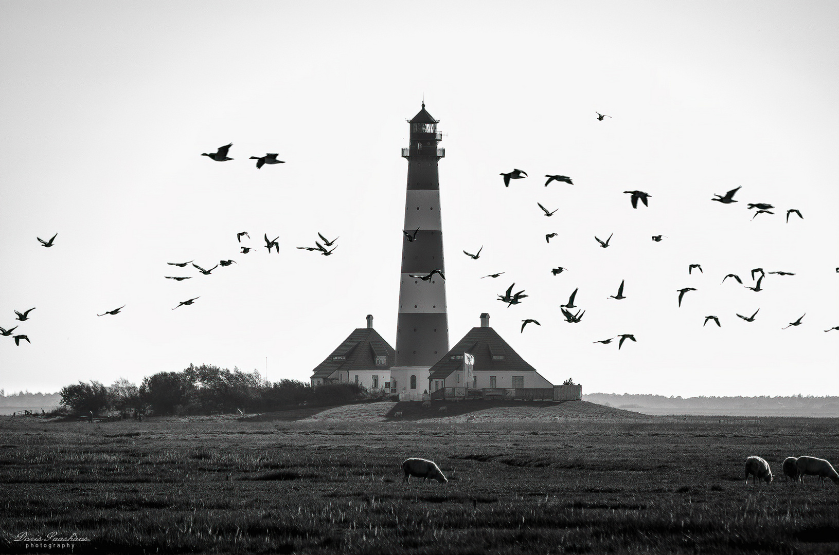 Flugverkehr in Westerhever