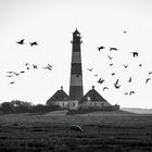 Flugverkehr in Westerhever