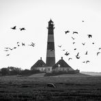 Flugverkehr in Westerhever