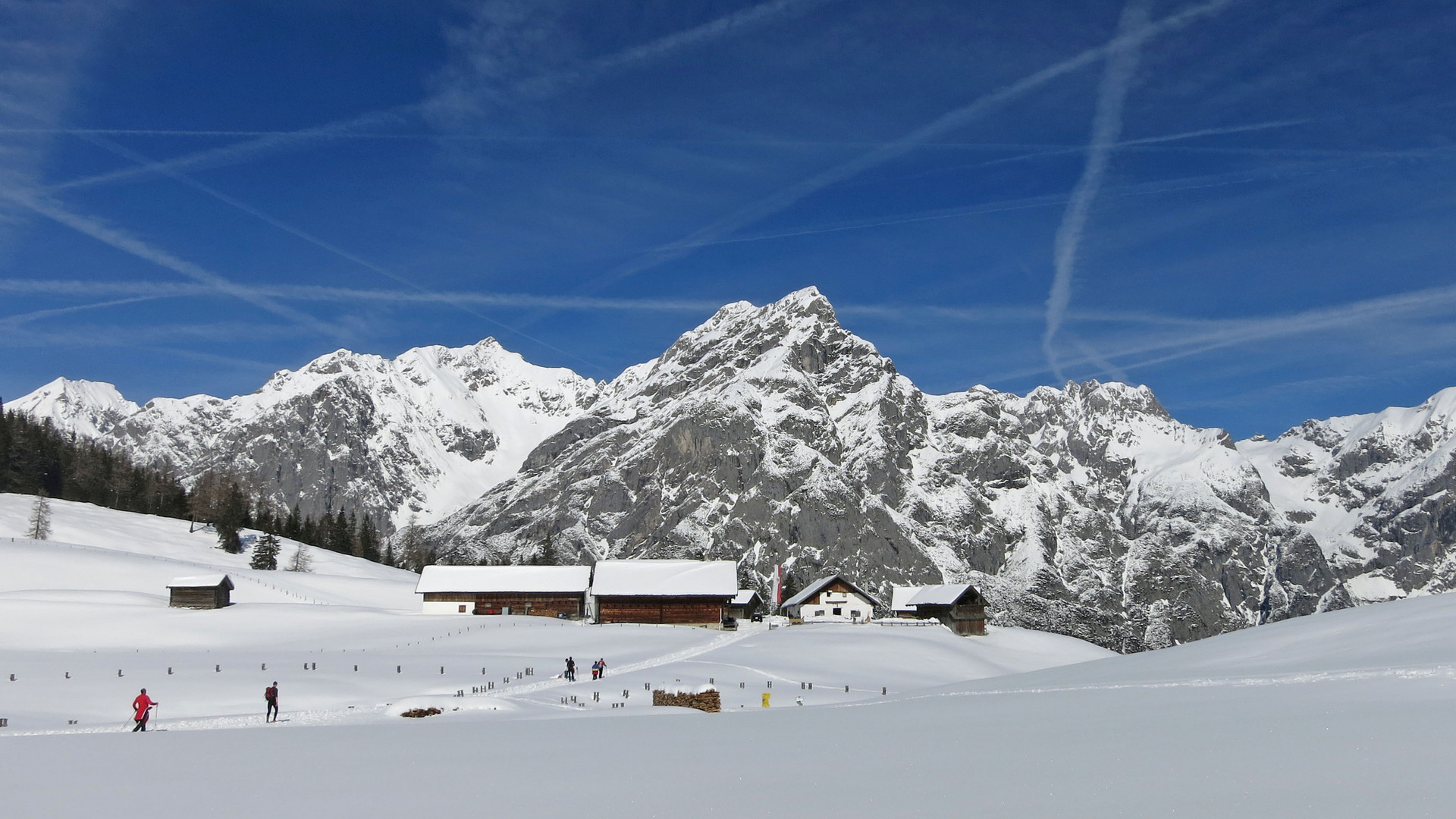 Flugverkehr über der Alm