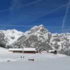 Flugverkehr über der Alm