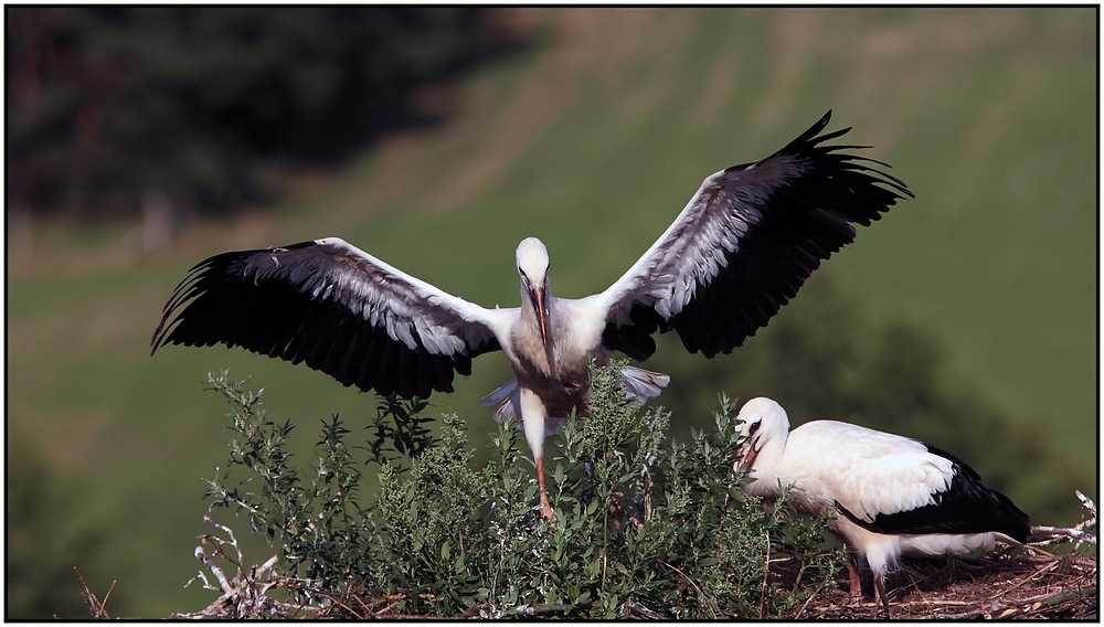 Flugversuch