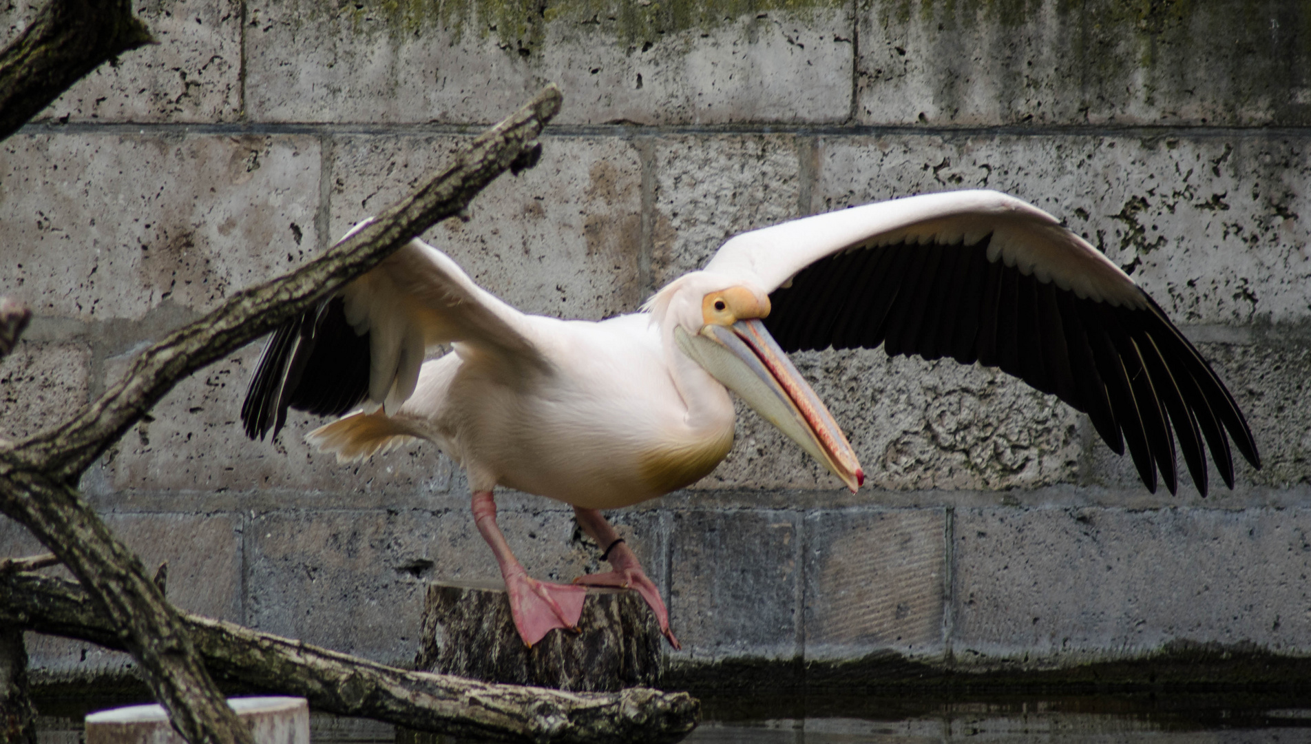 Flugversuch 