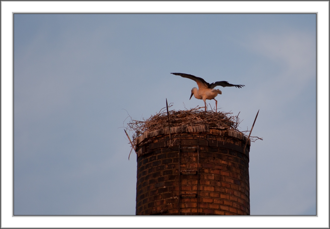 Flugversuch am Abend