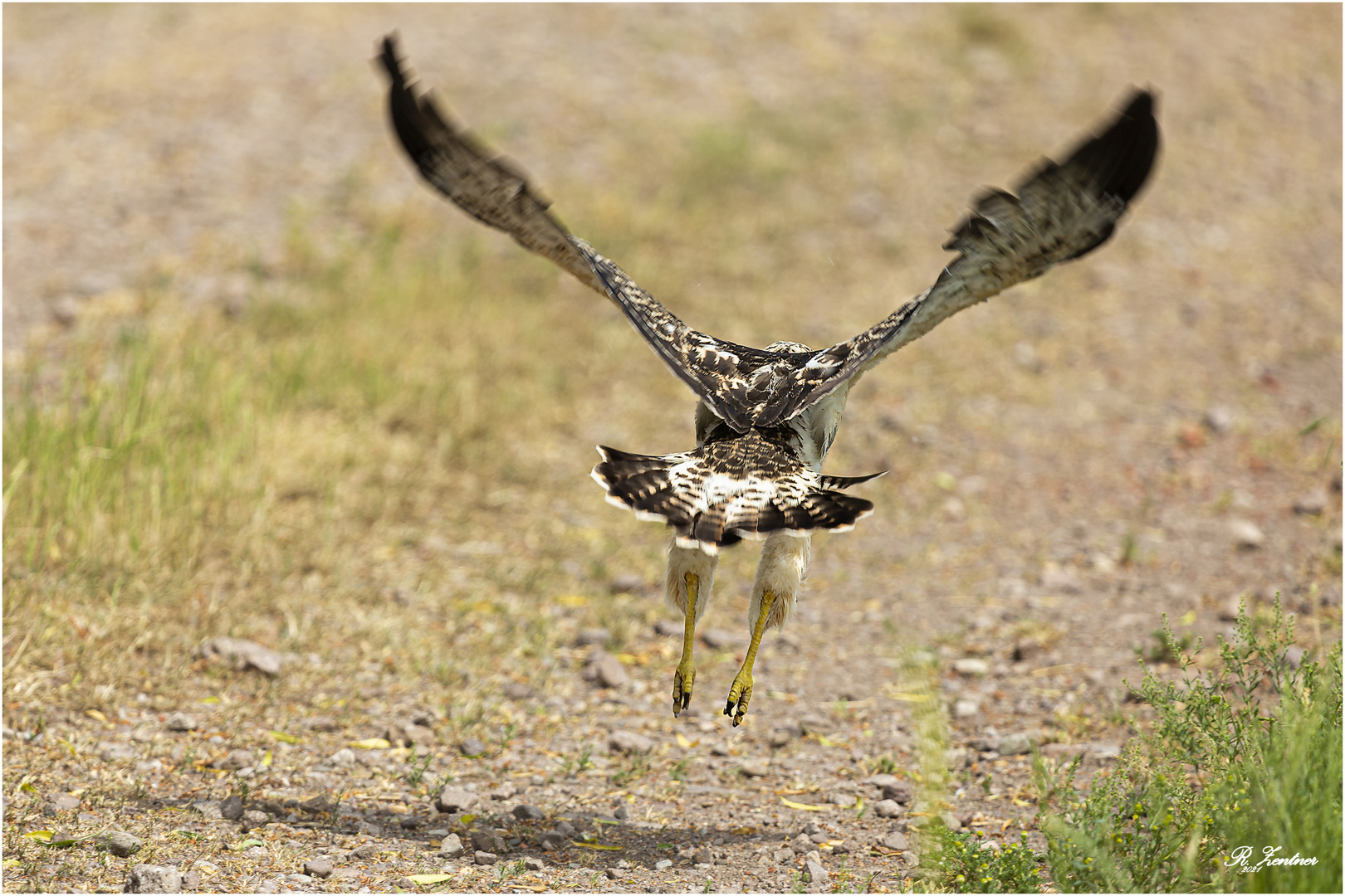 Flugversuche