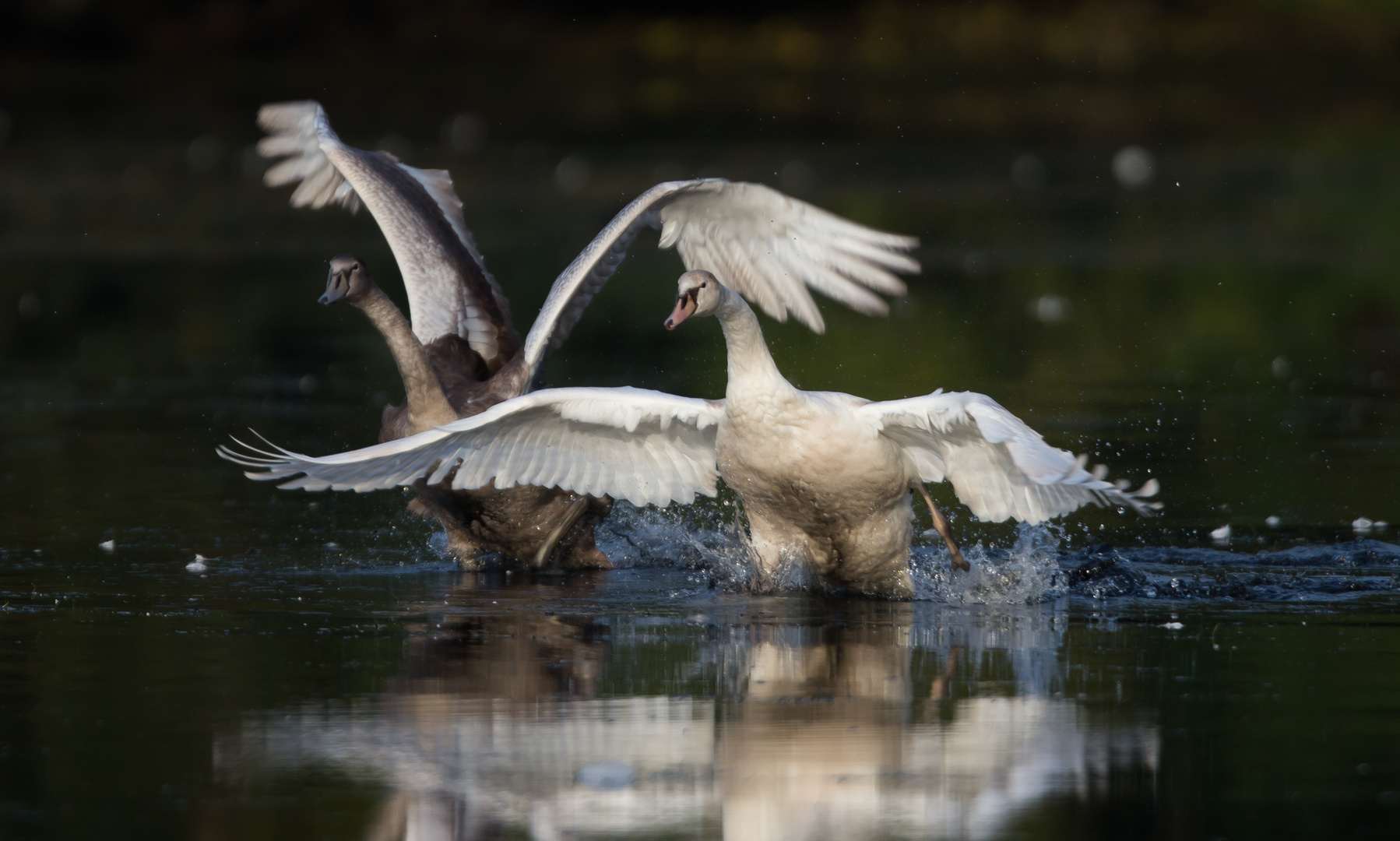 Flugversuche