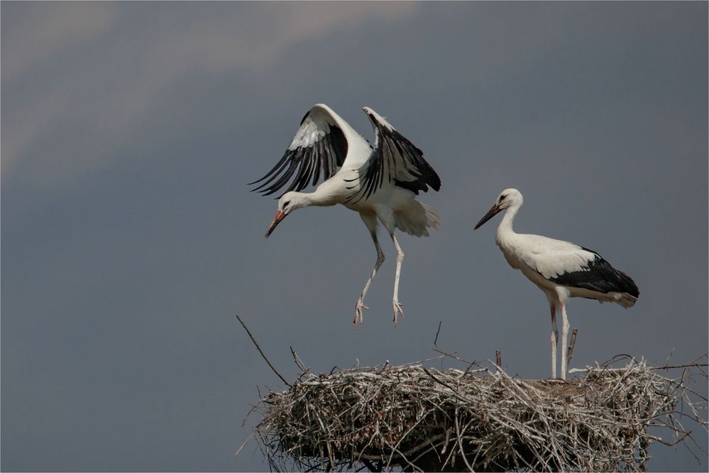 Flugversuche