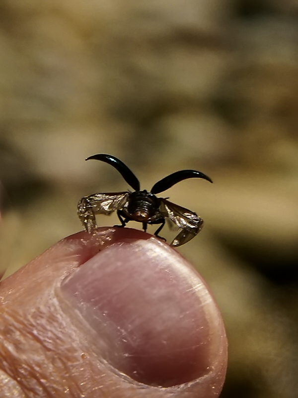 Flugvorbereitung :-)