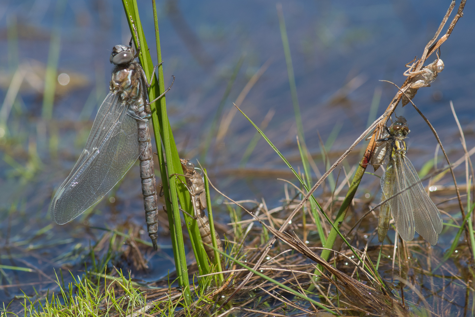 Flugvorbereitungen