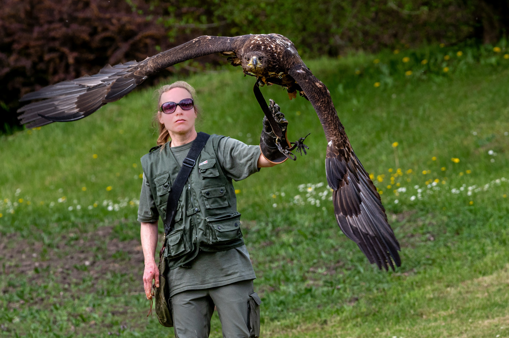 Flugvorführung im Wildpark Schloss Tambach bei Coburg