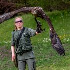 Flugvorführung im Wildpark Schloss Tambach bei Coburg