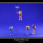 flugwanderung I