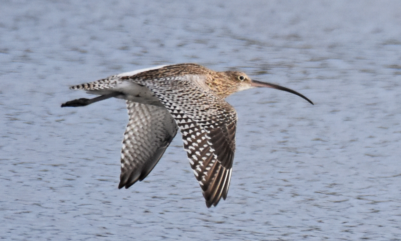 Flugwetter 