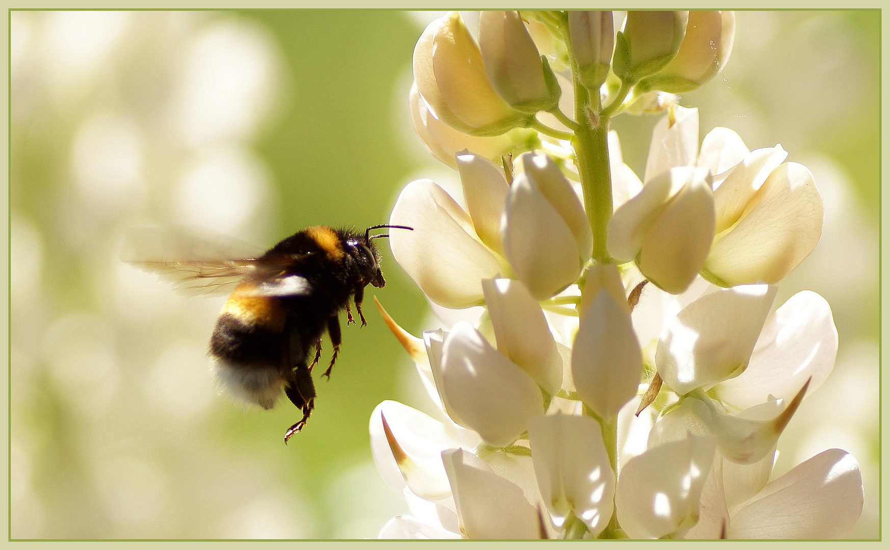 Flugwetter