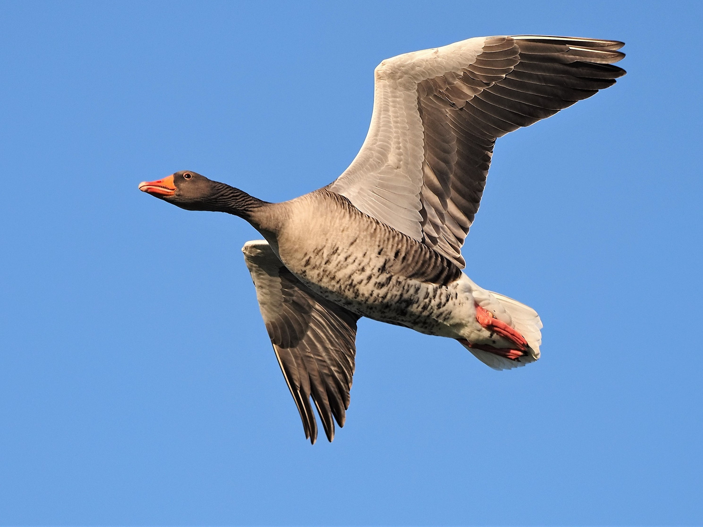 Flugwetter...