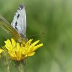 Flugwetter heute