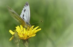 Flugwetter heute