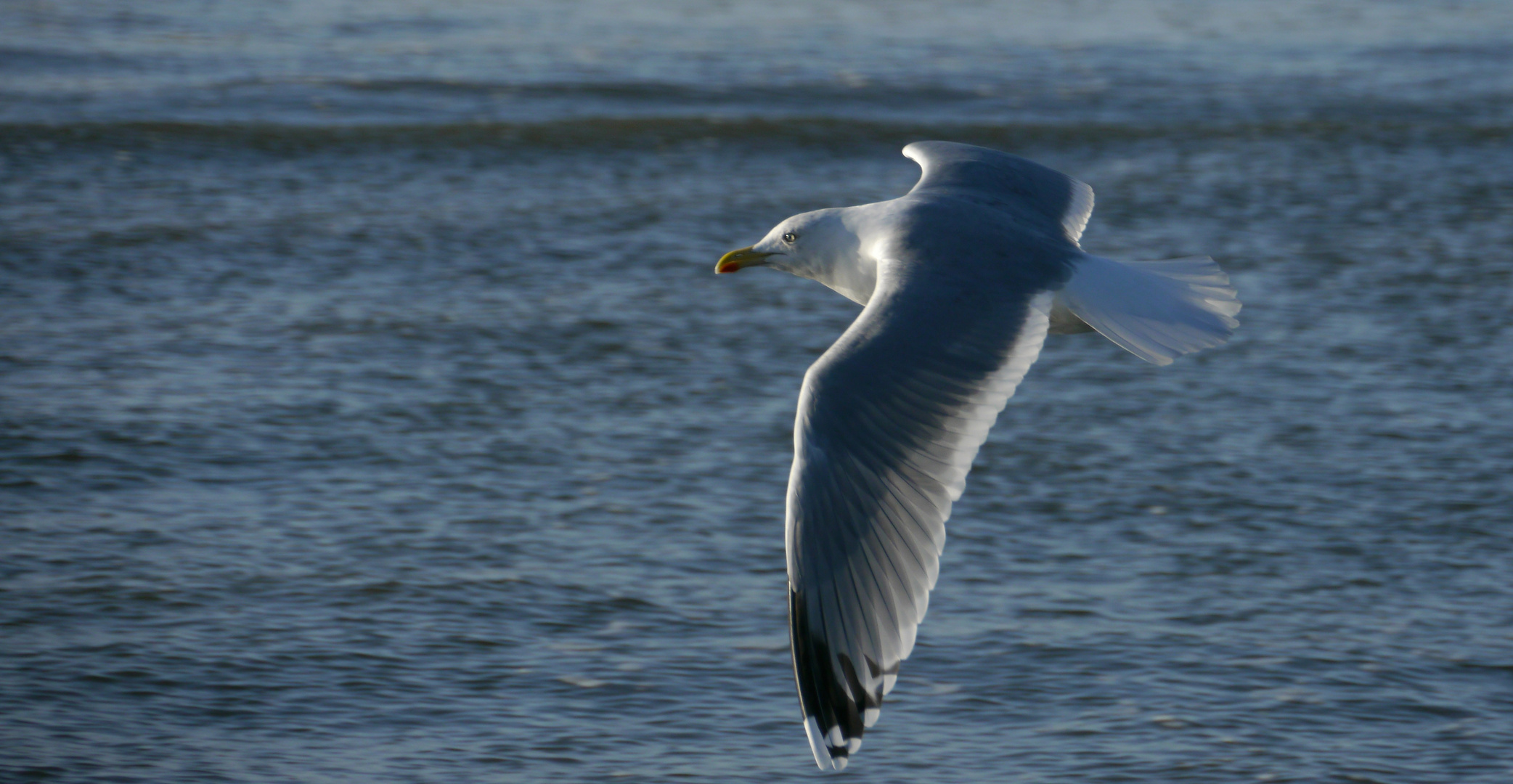 Flugwetter nach verhangenen Stunden