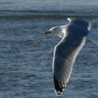 Flugwetter nach verhangenen Stunden