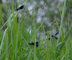 Flugzeit