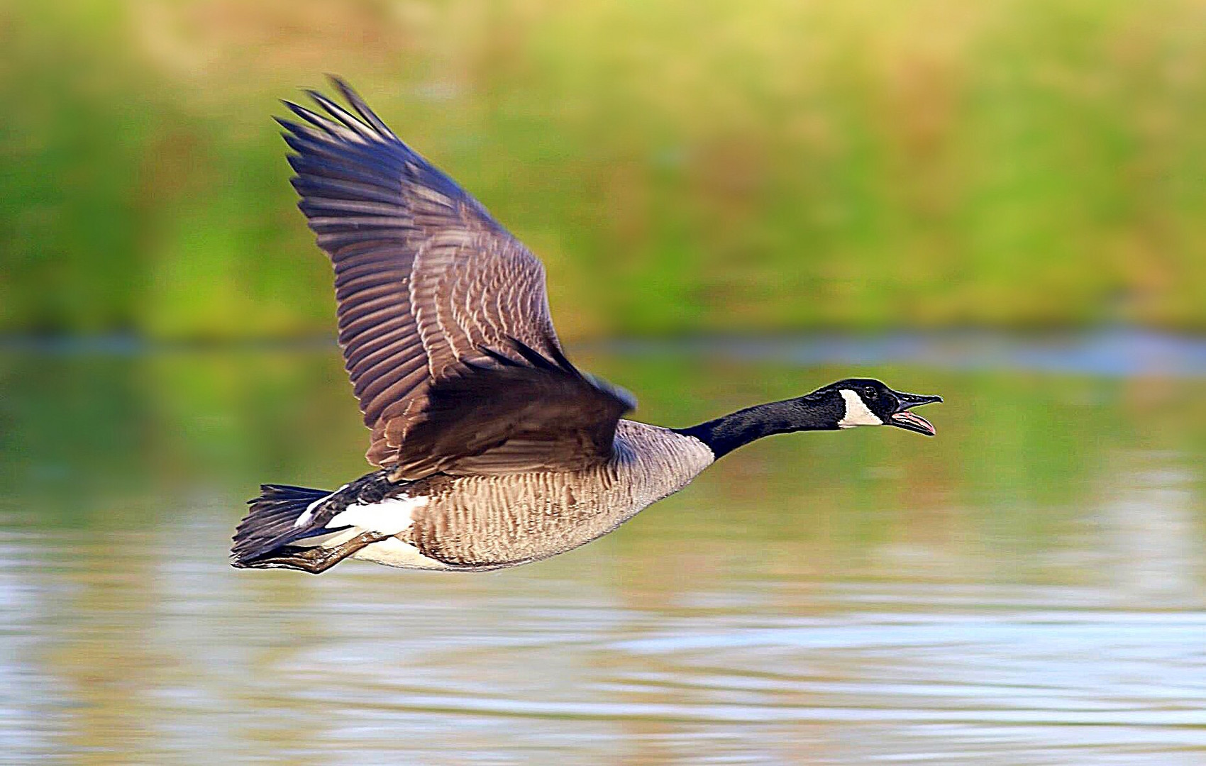 Flugzeit