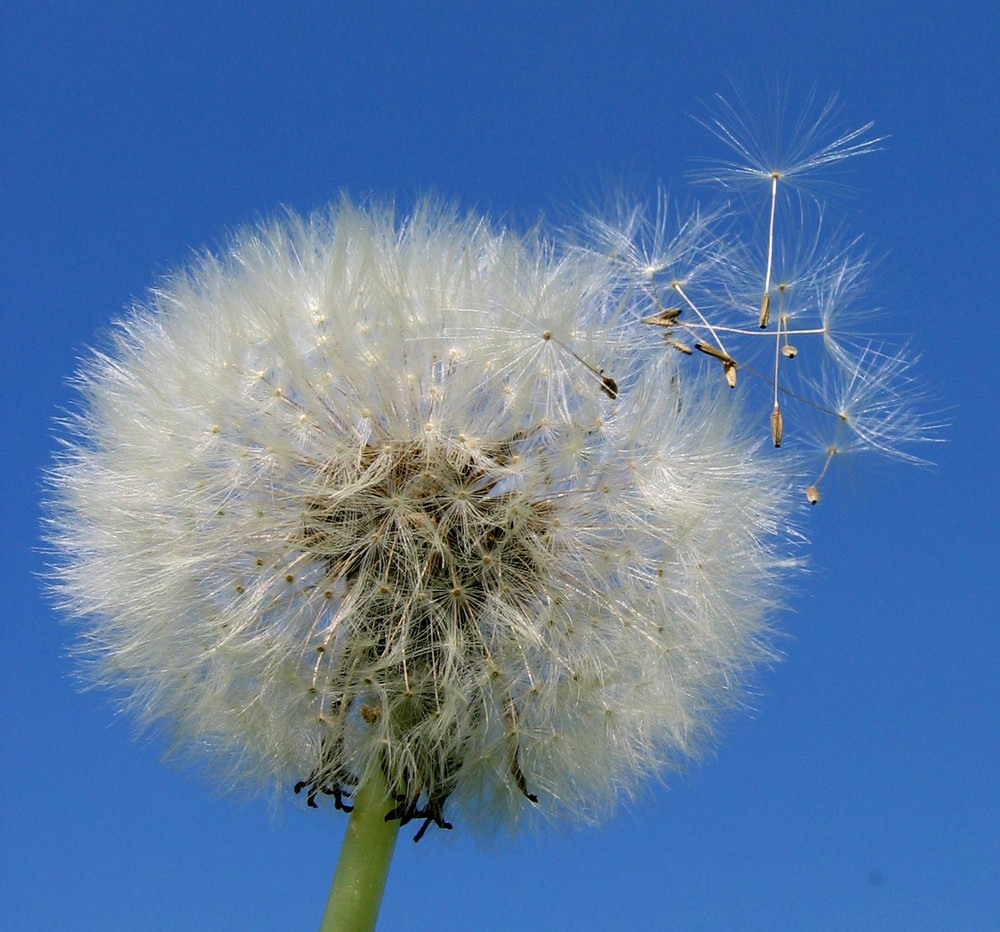 "Flugzeit"